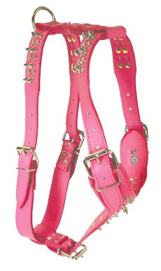 Signature Harness