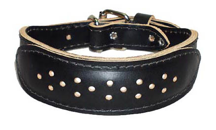 Training Scent Collar