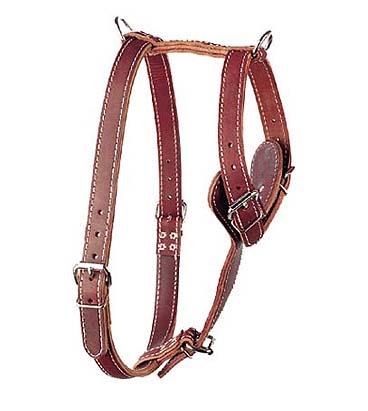 Latigo Roading Harness