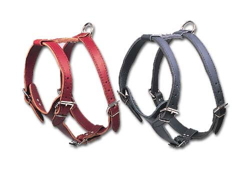 Adjustable Latigo Harness