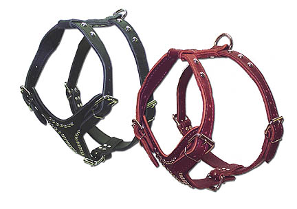 Adjustable Studded Latigo Harness