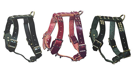 One-Ply Latigo  Harness
