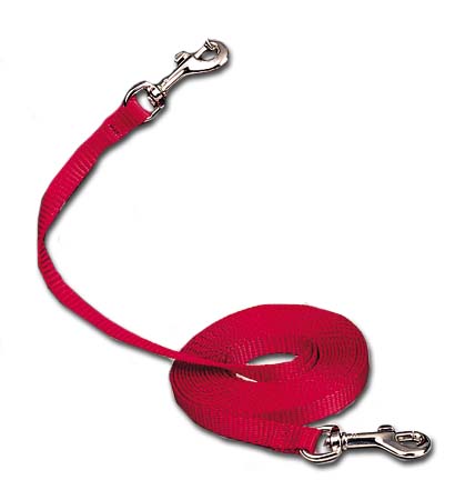 Cat Tie-Out / Lead